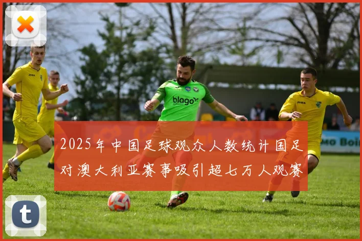 2025年中国足球观众人数统计国足对澳大利亚赛事吸引超七万人观赛