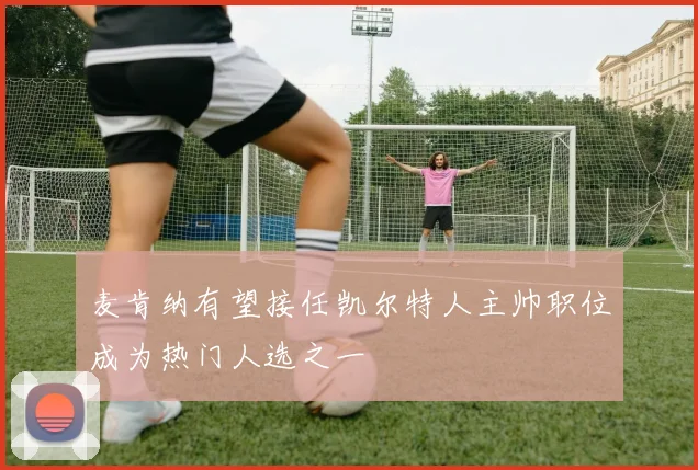 麦肯纳有望接任凯尔特人主帅职位成为热门人选之一