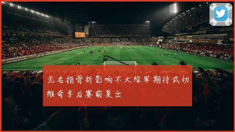 无名指骨折影响不大绿军期待武切维奇季后赛前复出